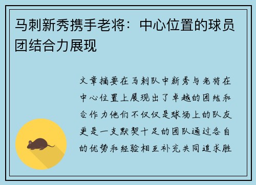 马刺新秀携手老将：中心位置的球员团结合力展现